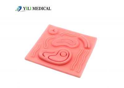 3D abdominal silicone wound simulation skin suture training model