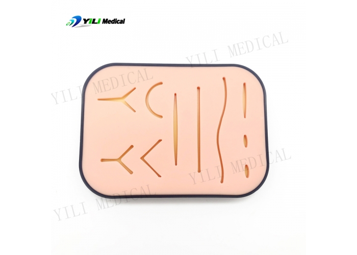 Boxed wound surgical suture practice module