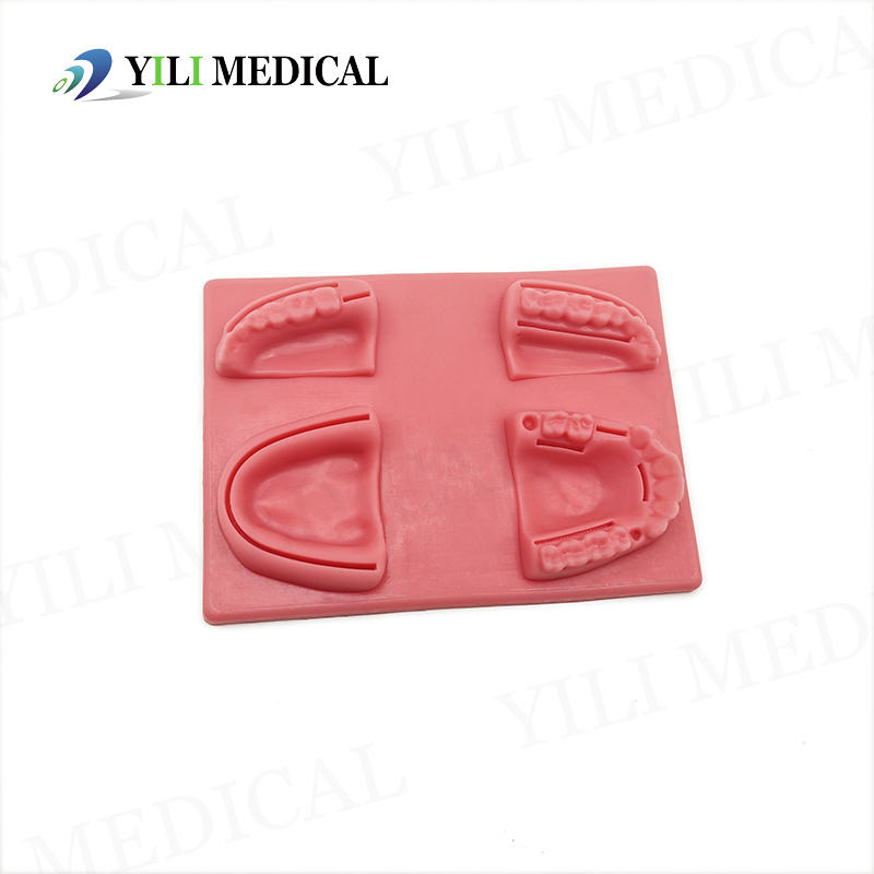 Gum Suture Training Mode (2).jpg