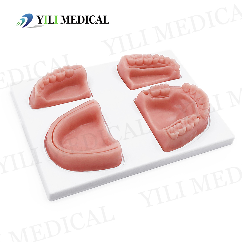 Gum Suture Practice Module