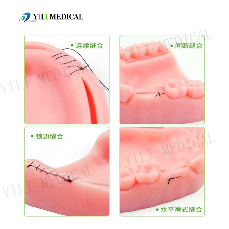 Gingival wound suture pad (4).jpg